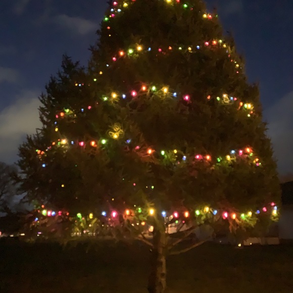 Dave Freese - Picture 4 of 16